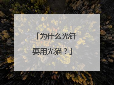 为什么光钎要用光猫？