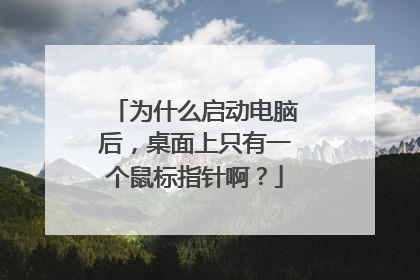 为什么启动电脑后，桌面上只有一个鼠标指针啊？