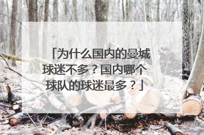 为什么国内的曼城球迷不多?国内哪个球队的球迷最多?
