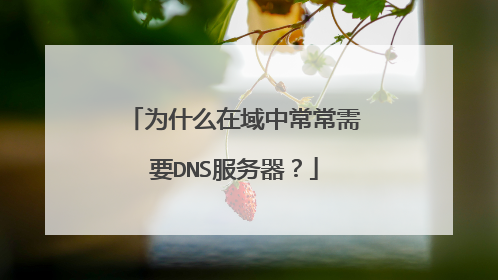 为什么在域中常常需要DNS服务器？