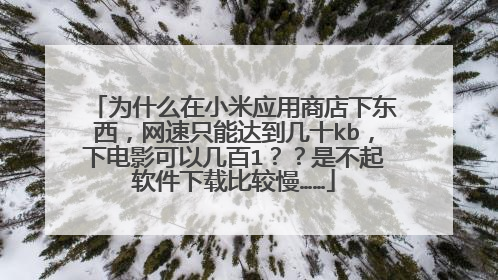 为什么在小米应用商店下东西,网速只能达到几十kb,下电影可以几百1??是不起软件下载比较慢……