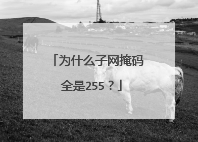 为什么子网掩码全是255?