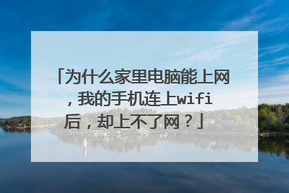 为什么家里电脑能上网，我的手机连上wifi后，却上不了网？