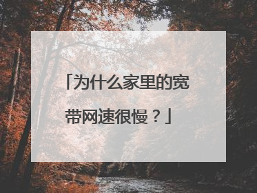 为什么家里的宽带网速很慢？