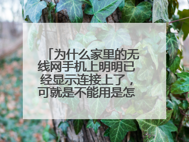 为什么家里的无线网手机上明明已经显示连接上了,可就是不能用是怎么回事