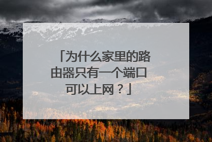 为什么家里的路由器只有一个端口可以上网?