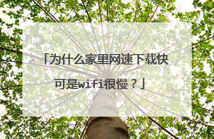 为什么家里网速下载快可是wifi很慢?