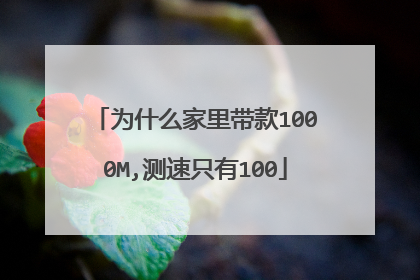 为什么家里带款1000M,测速只有100