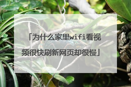 为什么家里wifi看视频很快刷新网页却很慢