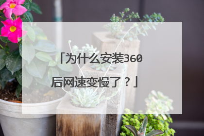 为什么安装360后网速变慢了？