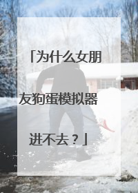 为什么女朋友狗蛋模拟器进不去？