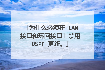 为什么必须在 LAN 接口和环回接口上禁用 OSPF 更新。