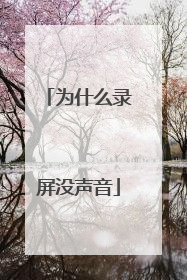 为什么录屏没声音