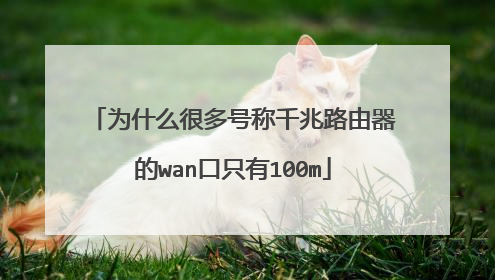 为什么很多号称千兆路由器的wan口只有100m