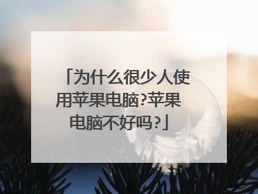 为什么很少人使用苹果电脑?苹果电脑不好吗?