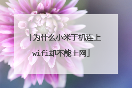 为什么小米手机连上wifi却不能上网
