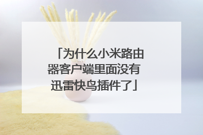 为什么小米路由器客户端里面没有迅雷快鸟插件了