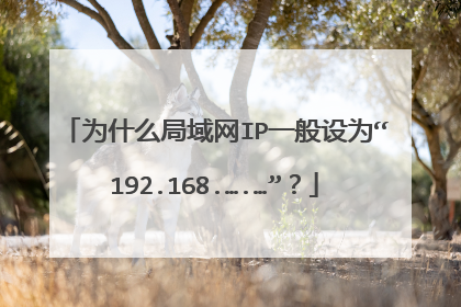 为什么局域网IP一般设为“192.168.….…”?
