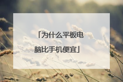 为什么平板电脑比手机便宜