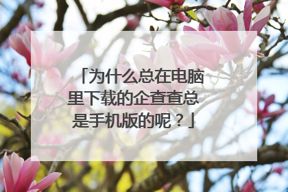 为什么总在电脑里下载的企查查总是手机版的呢？