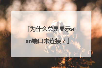 为什么总是显示wan端口未连接？
