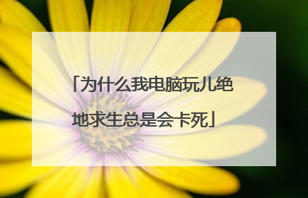 为什么我电脑玩儿绝地求生总是会卡死