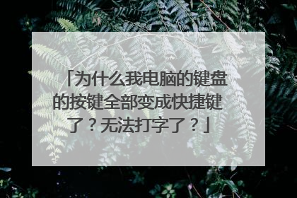 为什么我电脑的键盘的按键全部变成快捷键了?无法打字了?