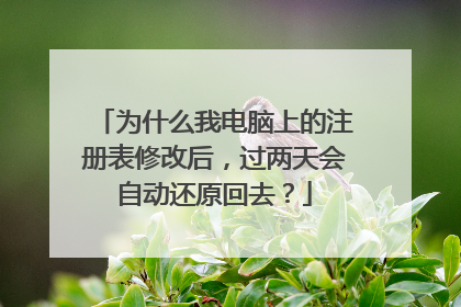 为什么我电脑上的注册表修改后,过两天会自动还原回去?