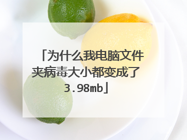 为什么我电脑文件夹病毒大小都变成了3.98mb