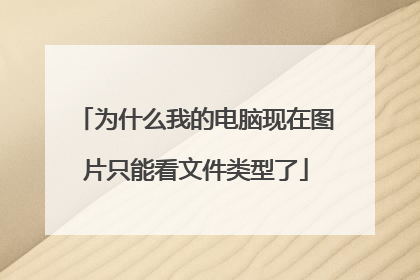 为什么我的电脑现在图片只能看文件类型了