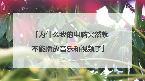 为什么我的电脑突然就不能播放音乐和视频了