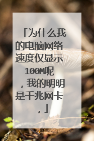 为什么我的电脑网络速度仅显示100M呢，我的明明是千兆网卡，