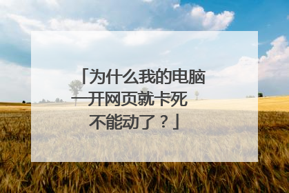 为什么我的电脑一开网页就卡死 不能动了?
