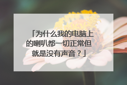 为什么我的电脑上的喇叭都一切正常但就是没有声音?