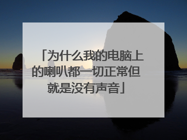 为什么我的电脑上的喇叭都一切正常但就是没有声音