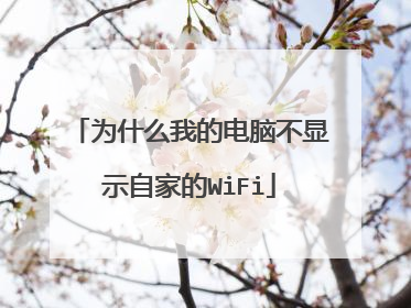 为什么我的电脑不显示自家的WiFi