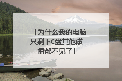 为什么我的电脑只剩下C盘其他磁盘都不见了