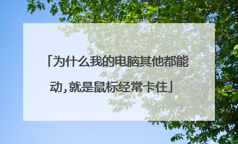 为什么我的电脑其他都能动,就是鼠标经常卡住