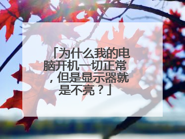 为什么我的电脑开机一切正常,但是显示器就是不亮?