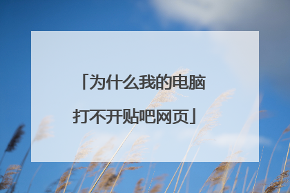 为什么我的电脑打不开贴吧网页