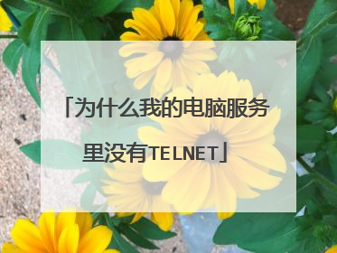 为什么我的电脑服务里没有TELNET
