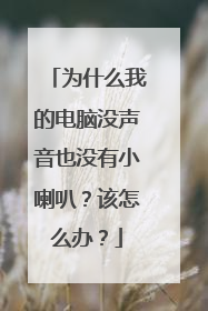 为什么我的电脑没声音也没有小喇叭?该怎么办?