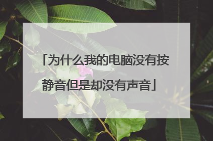 为什么我的电脑没有按静音但是却没有声音