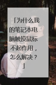 为什么我的笔记本电脑触摸鼠标不起作用,怎么解决?