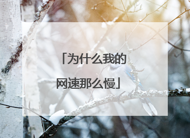 为什么我的网速那么慢