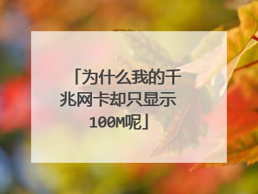 为什么我的千兆网卡却只显示100M呢
