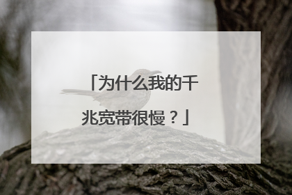 为什么我的千兆宽带很慢?