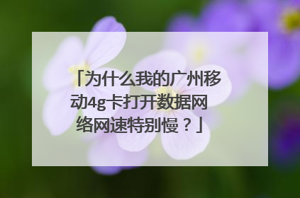 为什么我的广州移动4g卡打开数据网络网速特别慢？