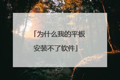 为什么我的平板安装不了软件