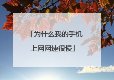 为什么我的手机上网网速很慢